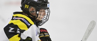 AIK vann hockeyderbyt