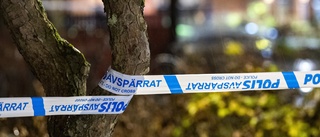 Häktas för rån – 70-åring rånades i hemmet