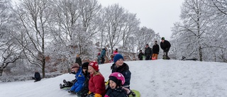 Full fart i pulkabacken när kramsnön kom till Uppsala