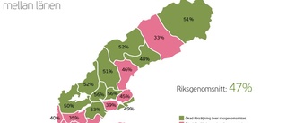 MAGPLASK Från toppen till botten