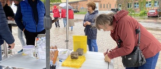 Så firades Hamnens dag för första gången