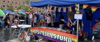 SD visar en unken och förlegad syn på hbtq-personer