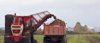 Gotland har lägst  tillväxt i landet