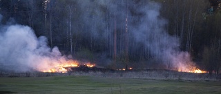 Gräsbrand på 5•5 meter vid båtklubb