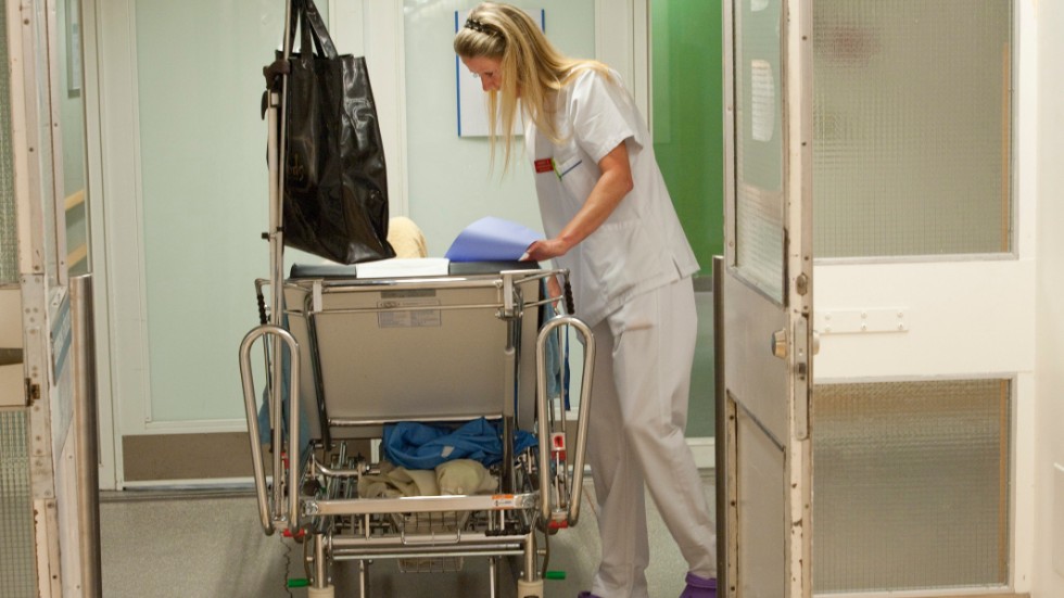 Förbundsordförande Heike Erkers, Akademikerförbundet SSR, Åsa Fahlén, Lärarnas riksförbund, Johanna Jaara Åstrand, Lärarförbundet, Veronica Magnusson, Vision, Malin Ragnegård, Kommunal, och Sineva Ribeiro, Vårdförbundet, skriver på DN Debatt.