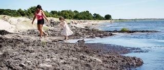 Släke sabbar sommarstranden