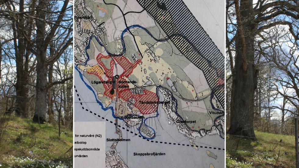 Det här med blått inringade området i Västervik vill Socialisterna ska bli naturreservat. På sidorna: en del av området, eklandskap vid Piperskärr, Västervik, nära förskolan Ekbacken.