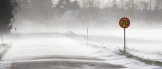 Dagens väder – en blåsig onsdag