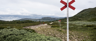 Så vandrar du säkert i fjällen i sommar