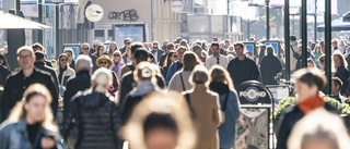 "Regeringen är för optimistisk"