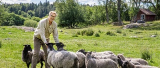 Viljan styr på och utanför planen