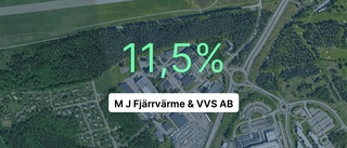 Inget företag i VVS-branschen tjänade mer än dem i fjol