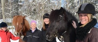 Specialutbildning för islandshästar