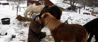 Elinor hittade sitt paradis i Yddetorp