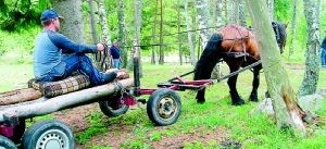 Hästkrafter på frammarsch