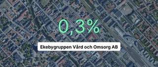 Ekebygruppen Vård och Omsorg AB på rätt sida strecket