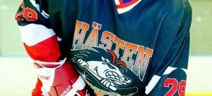 Hästen Hockey delas