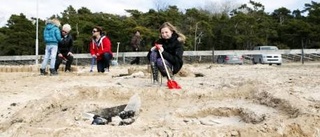 Tidig strandpremiär