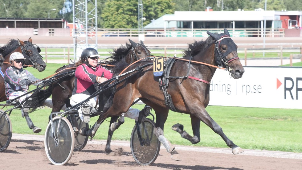 Hästsporten är inte bara en passion, som bidrar till ökad livskvalitet och folkhälsa genom meningsfull sysselsättning. Det är dessutom en viktig del av hela Sveriges ekonomi, skriver Linda Nordvall VD, Mantorp hästsportarena och Åsa Waern, ordförande Östergötlands travsällskap.