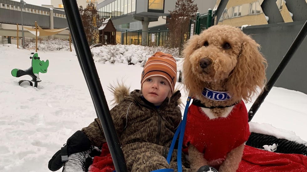 Femårige Vincent tillsammans med sjukhushunden Luna utanför Akademiska Sjukhuset i Uppsala. Hunden håller honom lugn under läkarbesök där han behandlas för flera olika hjärtfel. 