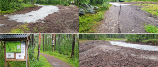 Slut med vurpor i farlig kurva på Grisberget