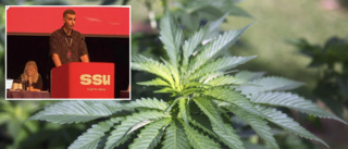 Förslaget från SSU i Sörmland: Avkriminalisera cannabis