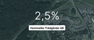 Årsredovisningen klar: Så gick det för Hummelbo Trädgårdar AB