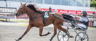 20-årige Hugo från Skellefteå tilldelas fint travstipendium