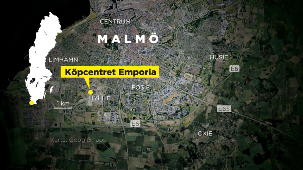 En 16-årig pojke åtalas för mordet i köpcentret Emporia i Malmö den 19 augusti förra året.