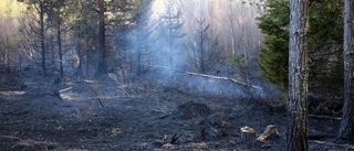 Varnar för hög brandrisk