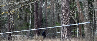 Polisen hoppfull med nya spår angående överfallsvåldtäkten i Ryd