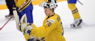 Målvakten från Hästen till SHL