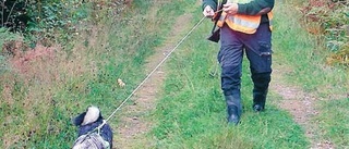 Med en husse och hans hund genom skogen