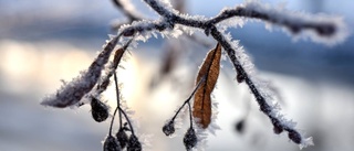 Då kommer snön tillbaka