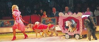 Cirkus Olympia i Hultsfred