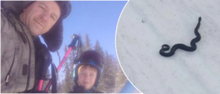 Mats och sonens läskiga upptäckt i skidliften: ”Häftigt”