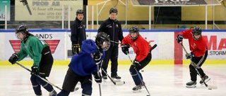 Företaget stöttar tjejhockeyn