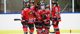 Luleå Hockey/MSSK vann toppmötet