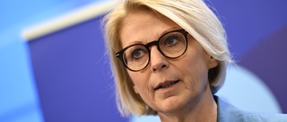 Elisabeth Svantesson vill rädda hushållen