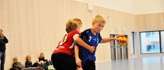 Handbollsfest i Fyrishov