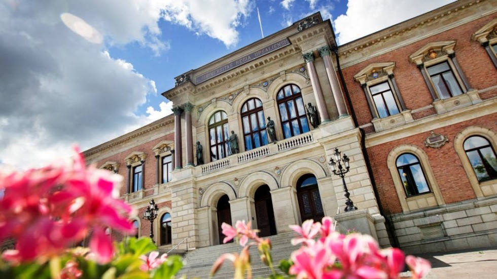 Överlevare. De gamla universiteten bygger på fasta värderingar, skriver artikelförfatatrna.
