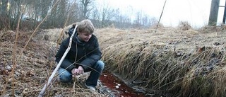 Lossnad renslucka färgade bäck röd