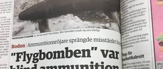 När Luleå (inte) bombades