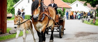 "Alla ska dansa, både barn och gamla"