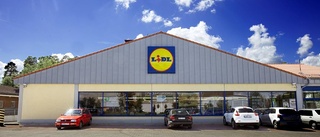 Elledning kan stoppa Lidl