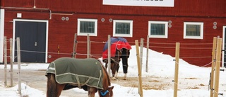 Kommun skriver av idrottsskulder