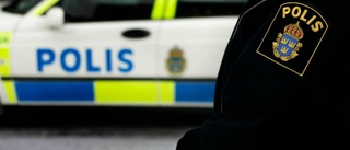 Företag fick påhälsning av tjuvar