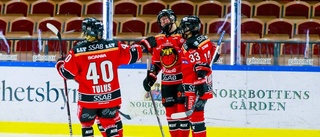 Målexplosion när Luleå Hockey hade drömminuter