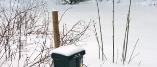 Tonårsgäng döms för sprängda brevlådor