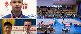 Triss i guld till Eskilstuna på karate-SM: "Ville visa att de valt rätt person att skicka på VM"